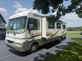 2003 Forest River Georgetown 325